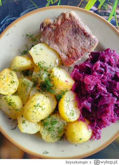 Szyszkalogin - #przegryw Jem obiad. #glodnyjakpies