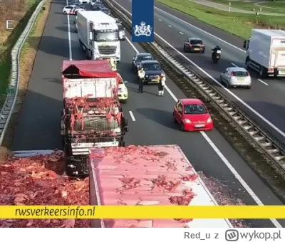 Red_u - #transport #samochody #holandia  https://twitter.com/p911sc1978/status/163643...