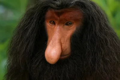 UjogromemGoNazwali - @koneserprogresywnegodiscopolo: 

-Harry….
-Tak Hagridzie?
-Dej ...