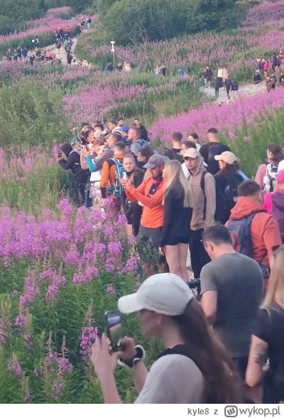 kyle8 - Hala gąsienicowa o godzinie 5:30 (ʘ‿ʘ)

#tatry #gory