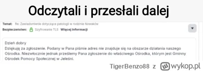 TigerBenzo88 - #kononowicz #patostreamy                                 
 Wysłałem na...
