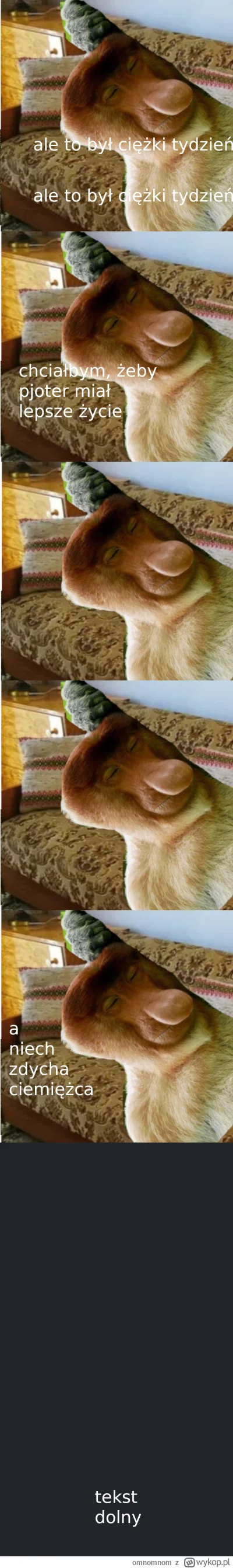omnomnom - #konkursnanajbardziejgownianymemznosaczem #sztukadlasprawiedliwych