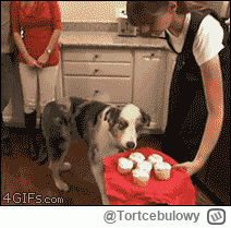 Tortcebulowy - #mecz