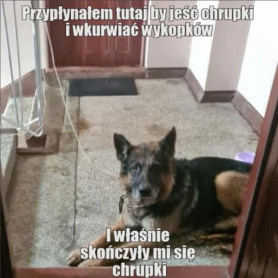 MirekStarowykopowy - good boi (｡◕‿‿◕｡) #powodz