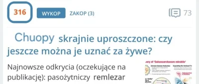 PrzymierzeRobotnicze - #przegryw
