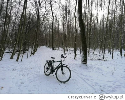 CrazyxDriver - @Bzdziuch: oooo to się nazywa świetny rower. Ile rowerek ma lat? Mój 2...