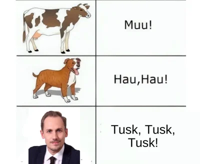 tnt1916 - A wasze zwierzaki jak robią? 

#bekazkonfederacji #berkowicz #heheszki #hum...