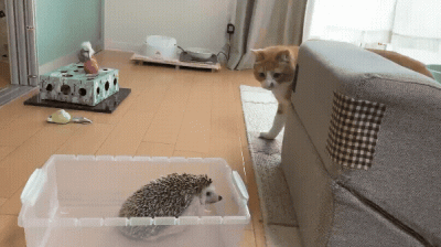 jestemtakizmeczony - @jestemtakizmeczony: