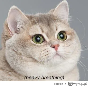 repro5 - @MurkyRent: