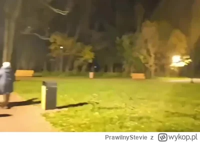 PrawilnyStevie - Ruskie w Moskwie mają fajne efekty świetlne ( ͡° ͜ʖ ͡°) #wojna #ukra...