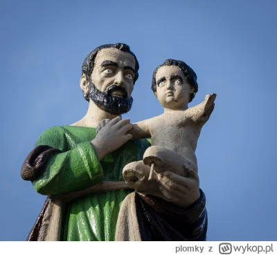 plomky - Spotkałem na żywo bardzo zdziwionych moim widokiem. 
#turystyka #kaszuby #he...