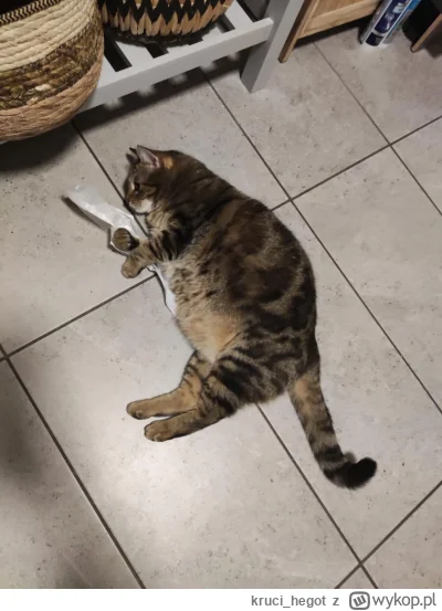 kruci_hegot - @szzzzzz: