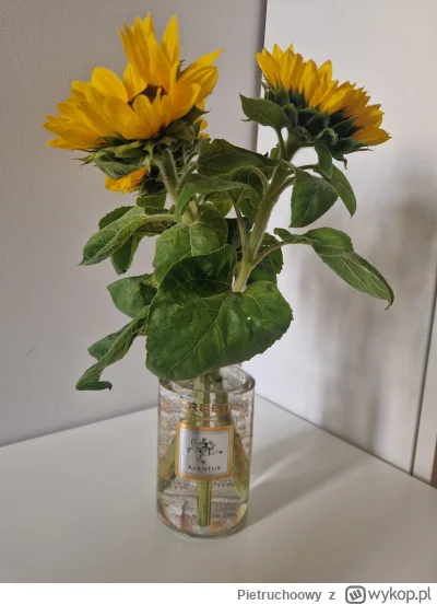 Pietruchoowy - #perfumy Kupiłem sobie kwiatuszki i trzymam w słoiku z wodą, ale nikt ...