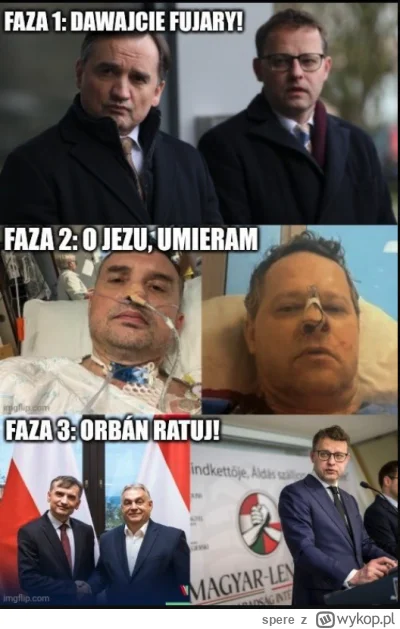 spere - #bekazpisu #bekazprawakow #polityka 

Cykl życia mikrofujary