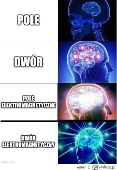 enten - #krakow #poznan #lodz #gdansk #wroclaw #warszawa #rzeszow