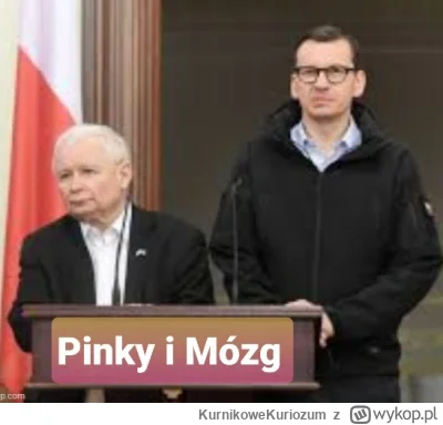 KurnikoweKuriozum - @jaroty: jak to Pinki i Mózg, filmweb: Dwie myszy laboratoryjne c...