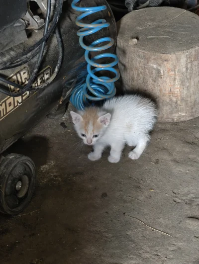SatanWasa_Babyboomer - *Zamykam zawór dolny diesla Teraz diesel zasysa powietrze z ok...