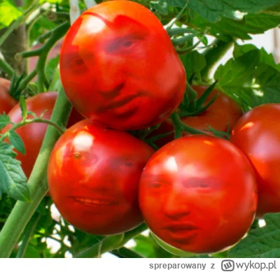 spreparowany - >Dzień dobry, 60 deko pomidorków załęckich poproszę ( ͡° ͜ʖ ͡°)

dzięk...