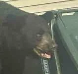 Average-CottonWorld-Enjoyer - @R2D2zSosnowca: kac morderca