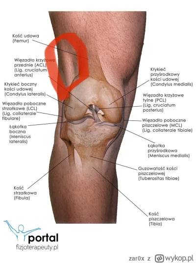 zar0x - @Poemat: kolego, kiedyś bez niczego mi kolano po prostu spuchło na tydzień, o...