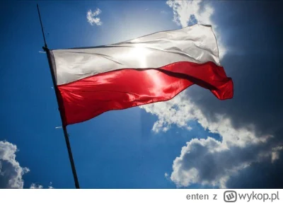 enten - @chico_lachowski: W pierwszej na Mentzena, w drugiej na Brauna