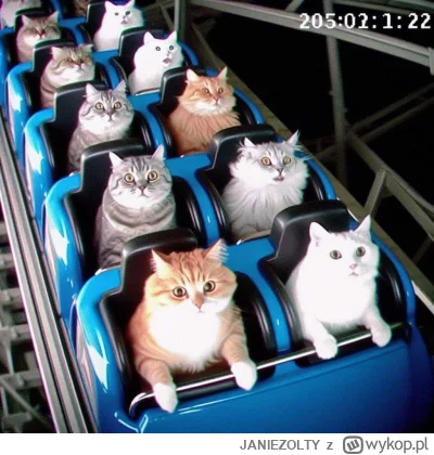 JANIEZOLTY - #aikitku