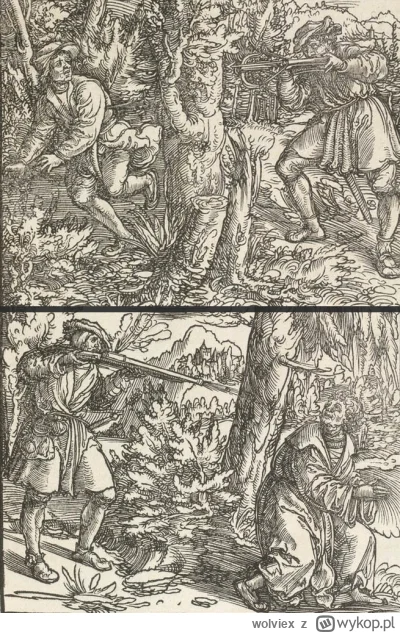 wolviex - Drzeworyt: "Tradycyjne polowanie na dzika", rok 1520

SPOILER