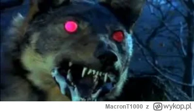 MacronT1000 - @lvbie_placki: