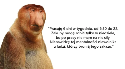 rzaden_problem - @Trelik: brakuje tego mema, żeby wsadzić kij w mrowisko po same kule...