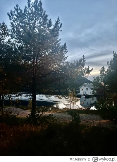 MrJohnny - @MrJohnny