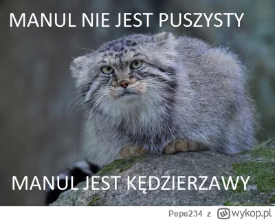 Pepe234 - #heheszki #memy #manul #zwierzeta #zwierzaczki
#koty