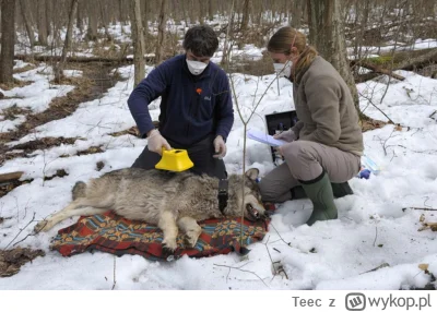 Teec - > W 2014 roku Love i jej współpracownicy weszli do Strefy Wykluczenia w Czarno...