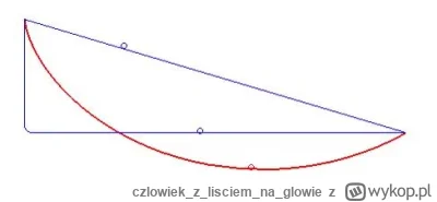 czlowiekzlisciemnaglowie - Najkrótsza odległość między dwoma punktami nie jest linią ...