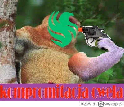 BigVV - #csgo #cs2 10mln skład XD