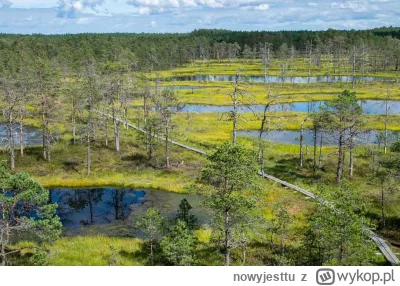 nowyjesttu - Park Narodowy Lahemaa, Estonia.

#estonia #przyroda #ciekawostki