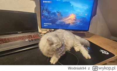 Wodniak94 - @downton