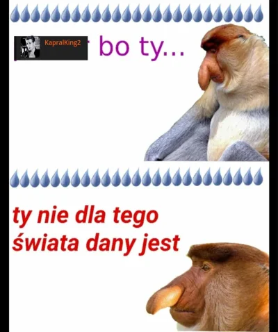 daktylewczekoladzie - @KapralKing2: