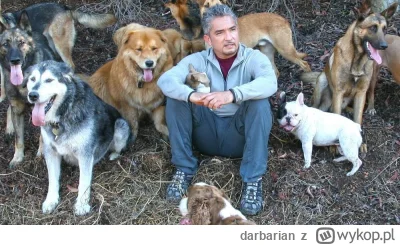 darbarian - @R3velation: Bo oni chcą być jak Cesar Millan: Zaklinacz psów  a Polacy t...