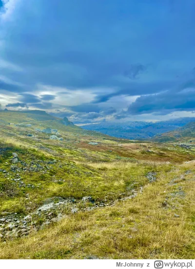 MrJohnny - @MrJohnny