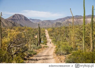 adamsowaanon - Chłop robi najpotężniejsze rzeczy, najbardziej kreatywne, spektakularn...