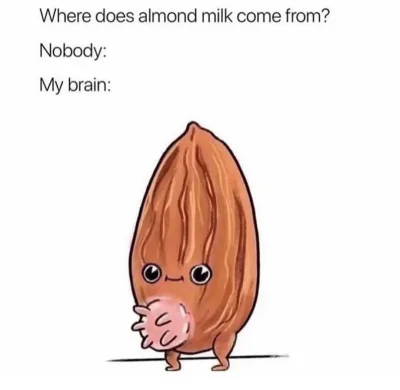 h.....a - Teraz już wiem przynajmniej skąd jest to mleko migdałowe.

#heheszki