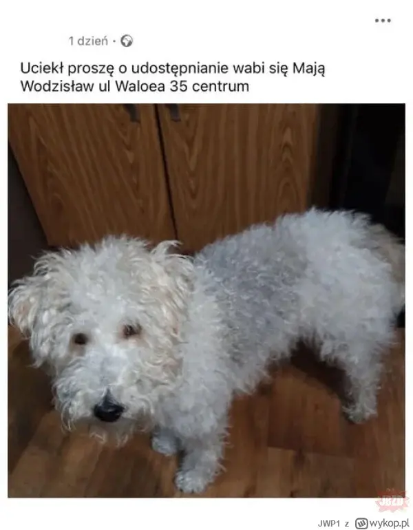 JWP1 - @Anonek463 no Elo (⌐ ͡■ ͜ʖ ͡■)