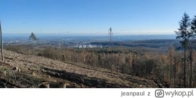 jeanpaul - > Niemcy zniszczyły swój las, pamiętacie akcję z puszczą białowieską?

A w...