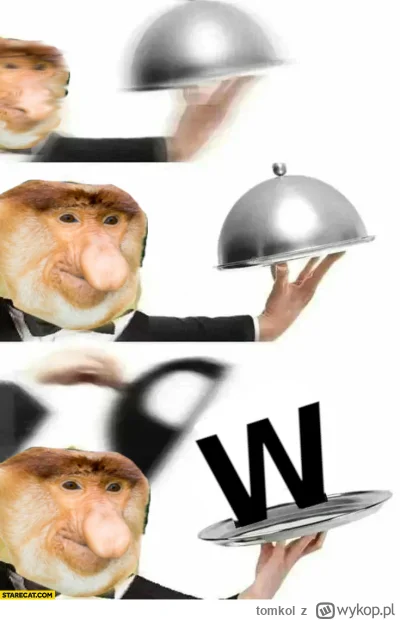 tomkol - #konkursnanajbardziejgownianymemznosaczem