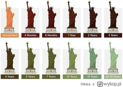 Ukiss - Zmiana koloru Statuy Wolności spowodowana utlenianiem miedzi.

Więcej moich c...