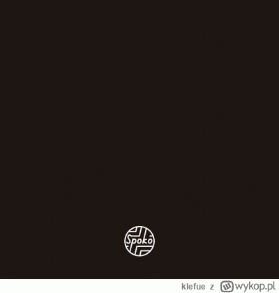 klefue - #rysujzwykopem #rysunek #tworczoscwlasna #handmade #smiesznypiesek #panda #b...