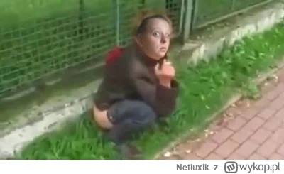 Netiuxik - wasza gosia coś robi debile benc #bonzo