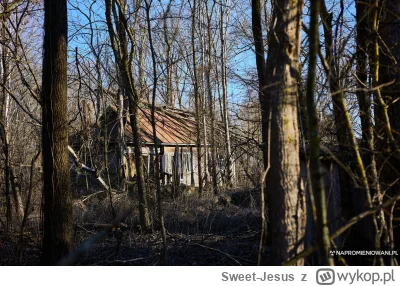 Sweet-Jesus - Ładyzycze to wioska, w której ostatni Samosioł umarł 10 lat temu. Co go...
