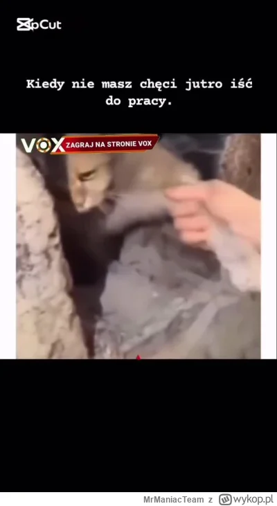 MrManiacTeam - Ech, rano znów do roboty.
#echhhhh