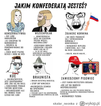 skalar_neonka - A Ty jakim kucem jesteś?
#konfederacja #heheszki #bekazkonfederacji